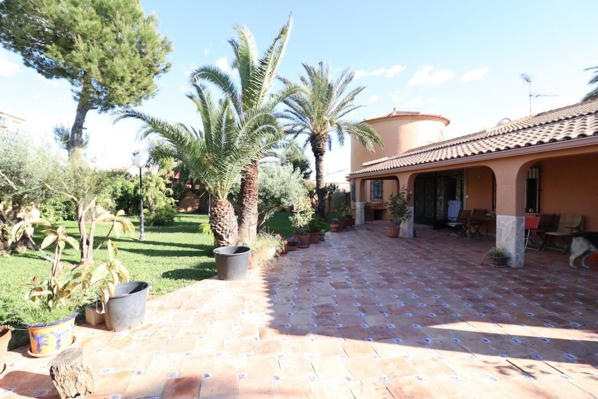Herverkoop - Villa -
Torrevieja - Costa Blanca