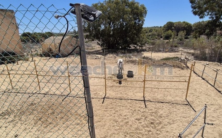 Herverkoop - Villa -
Torrevieja - Los Balcones