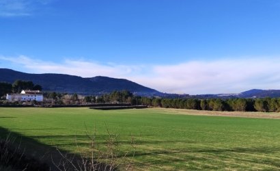 Land - Resale -
                Alfafara - MM-19997