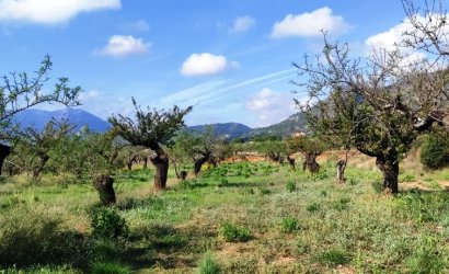 Land - Resale -
                Gaianes - MM-48926