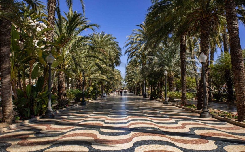 New Build - Apartment -
Alicante - Centro