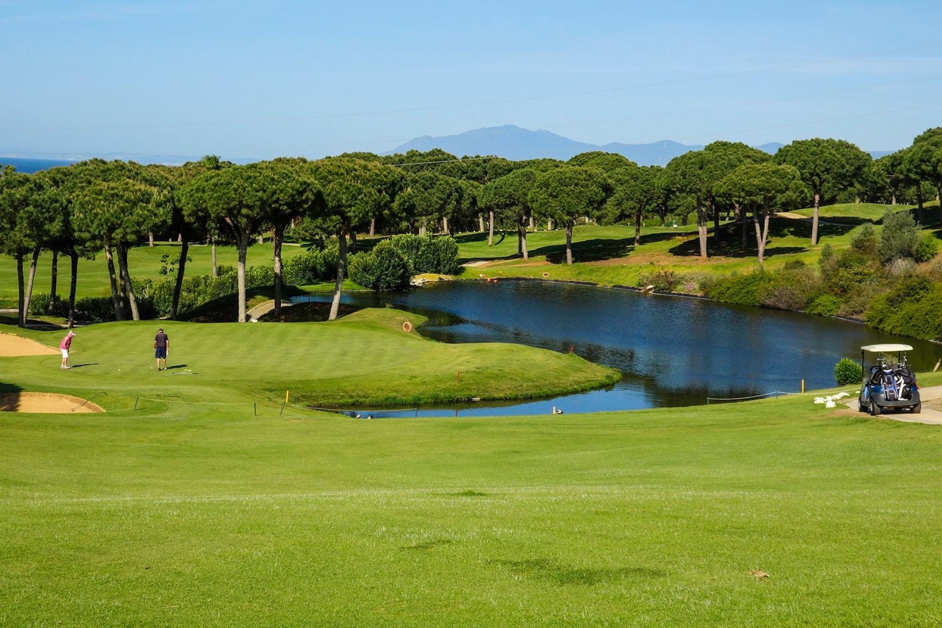 New Build - Apartment -
Marbella - Cabopino Golf