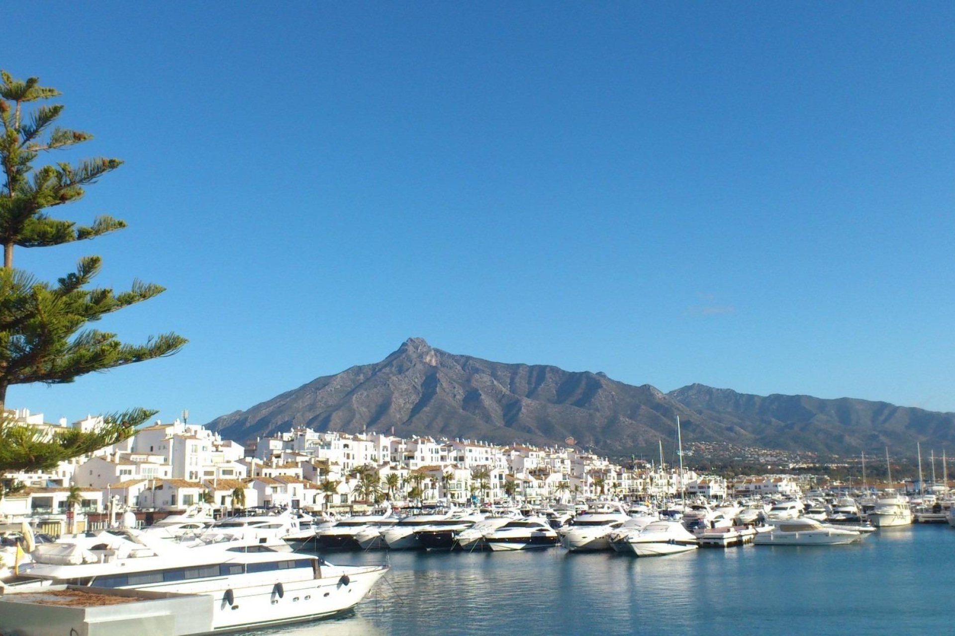 New Build - Apartment -
Marbella - Nueva Andalucia