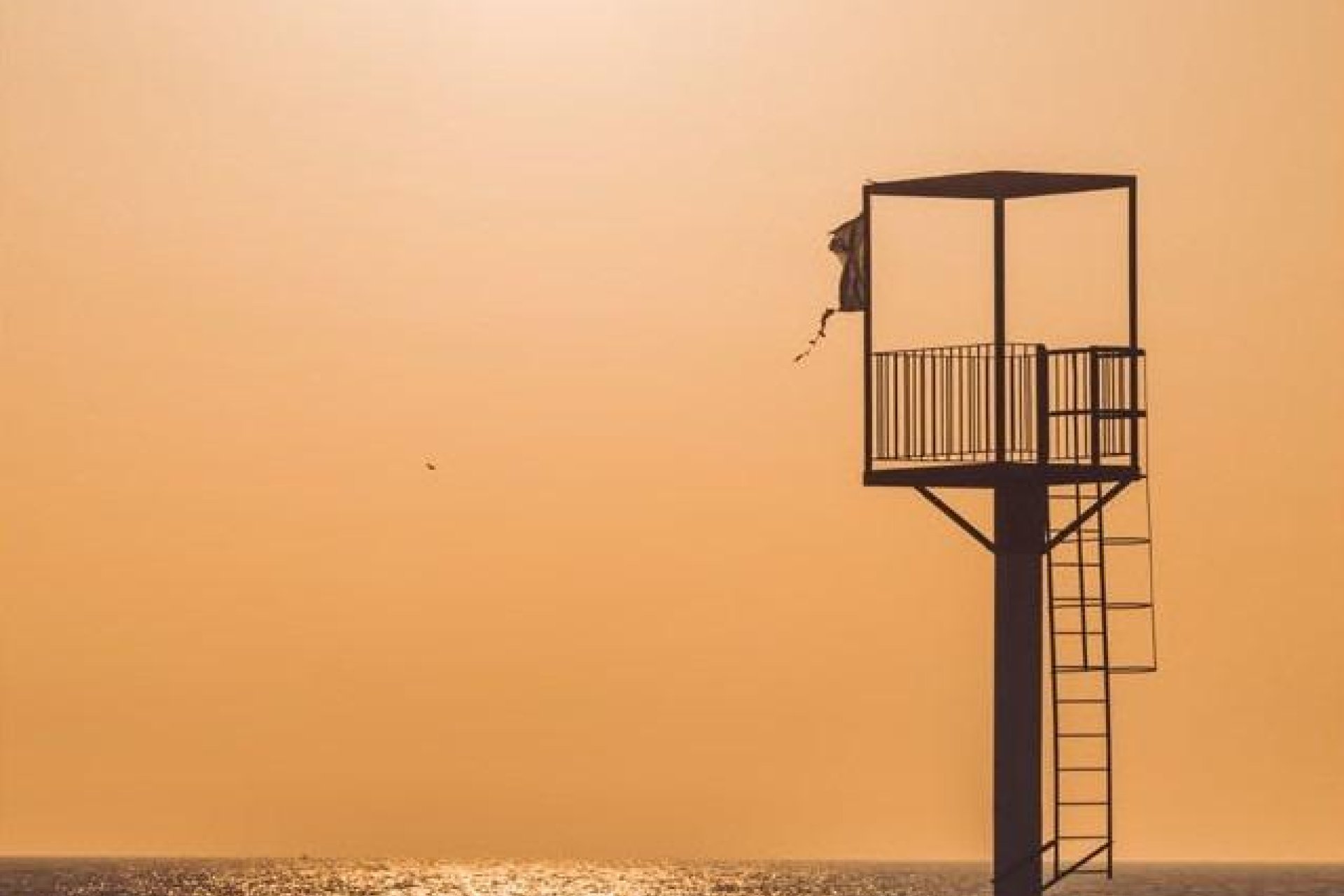 New Build - Ground floor apartment -
Almerimar