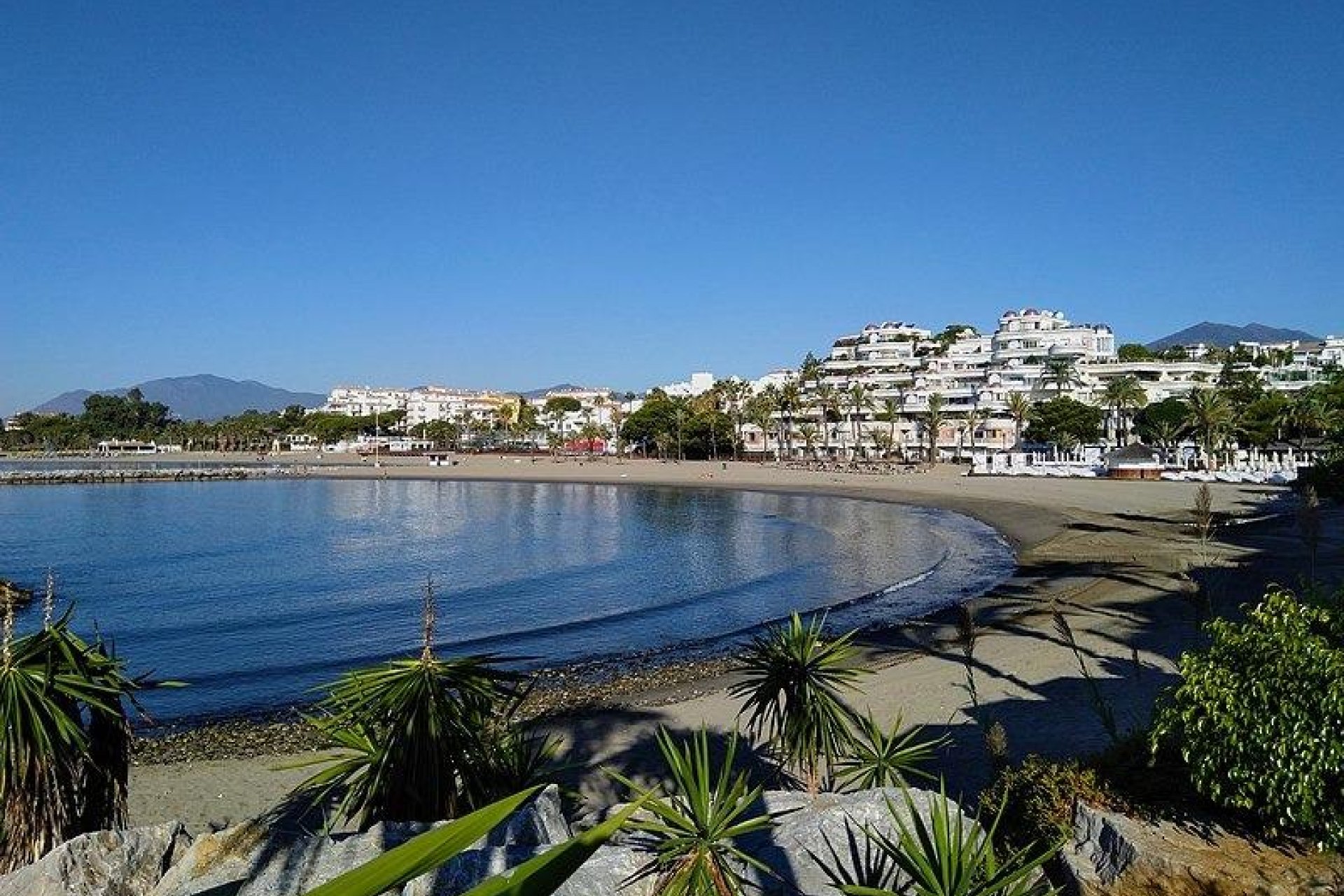 New Build - Penthouse -
Marbella - Nueva Andalucia