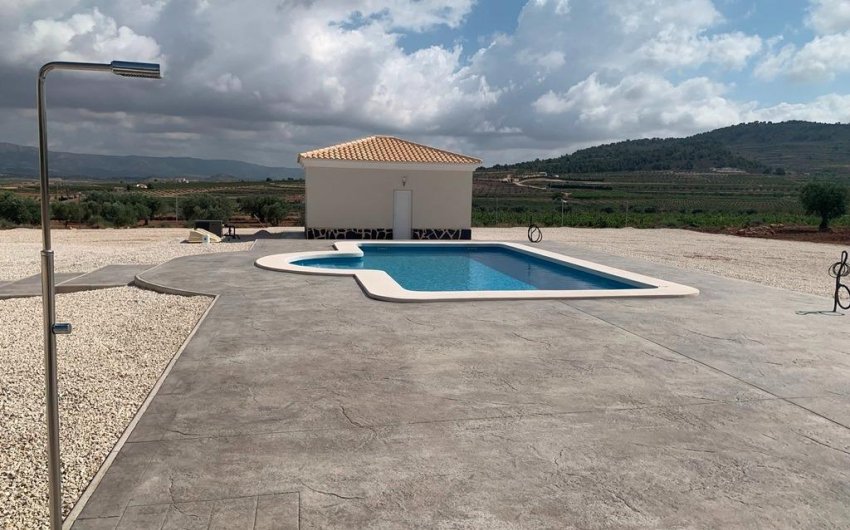 New Build - Villa -
Pinoso - Camino Del Prado