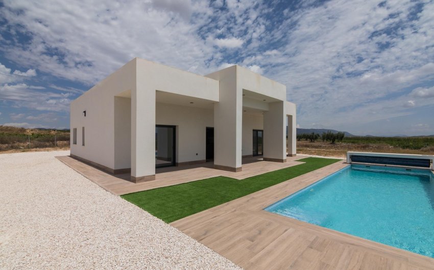 New Build - Villa -
Pinoso - Lel