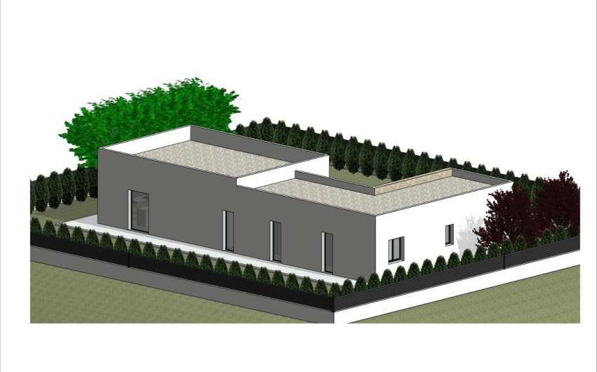 New Build - Villa -
Pinoso - Lel