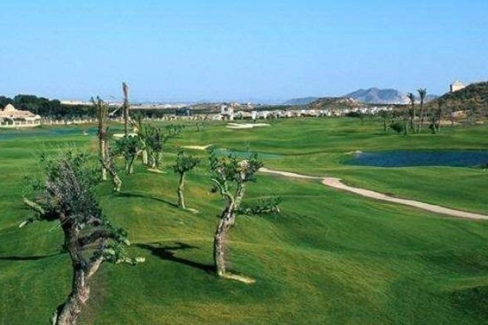 New Build - Villa -
Sucina - Peraleja Golf