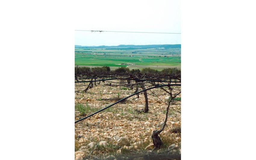 New Build - Villa -
Yecla