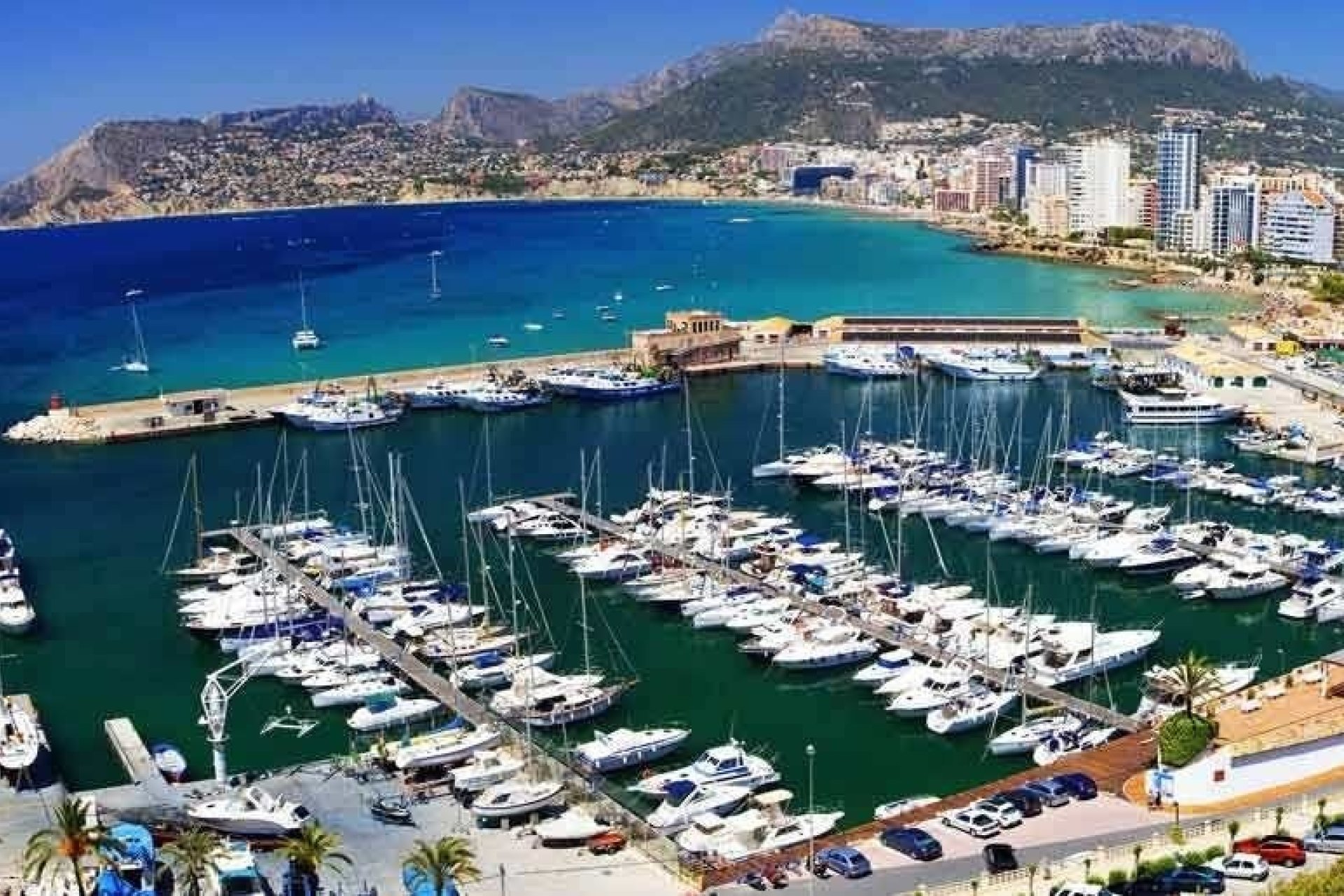 Nieuwbouw Woningen - Apartment -
Calpe - Playa del Bol
