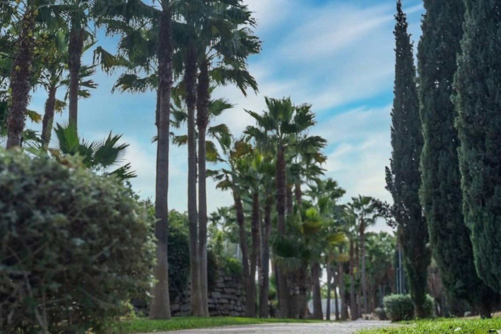 Nieuwbouw Woningen - Apartment -
Fuengirola - Higueron