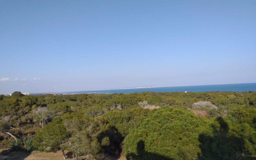 Nieuwbouw Woningen - Apartment -
Guardamar del Segura - Pueblo