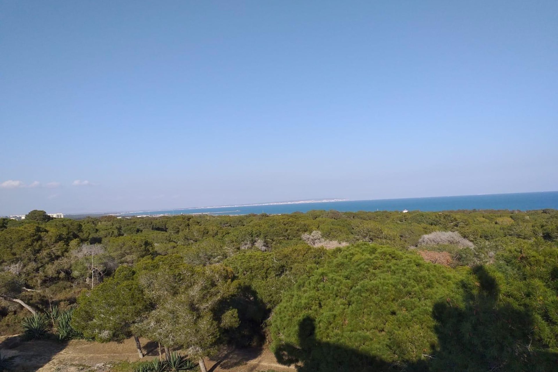 Nieuwbouw Woningen - Apartment -
Guardamar del Segura - Pueblo