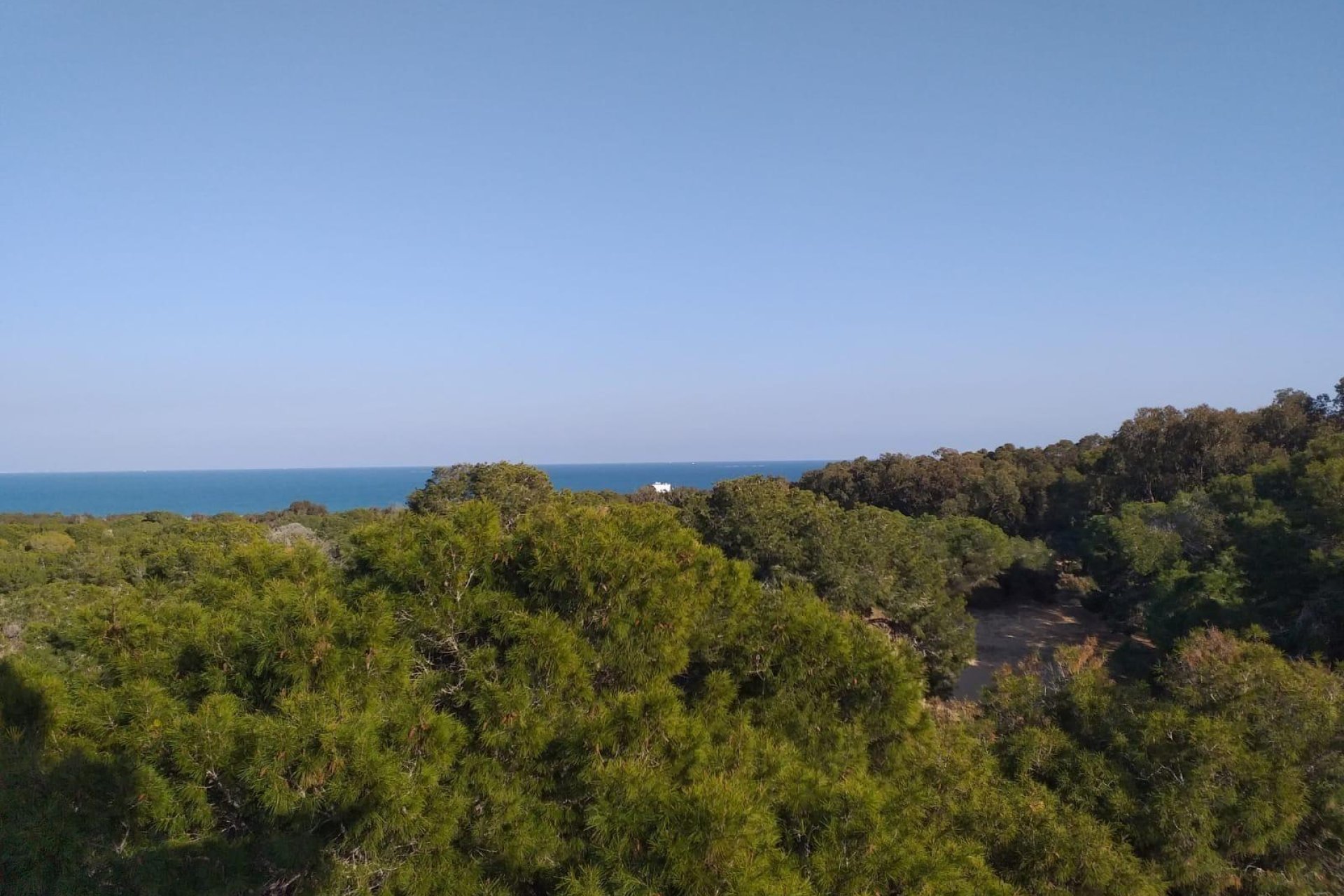 Nieuwbouw Woningen - Apartment -
Guardamar del Segura - Pueblo