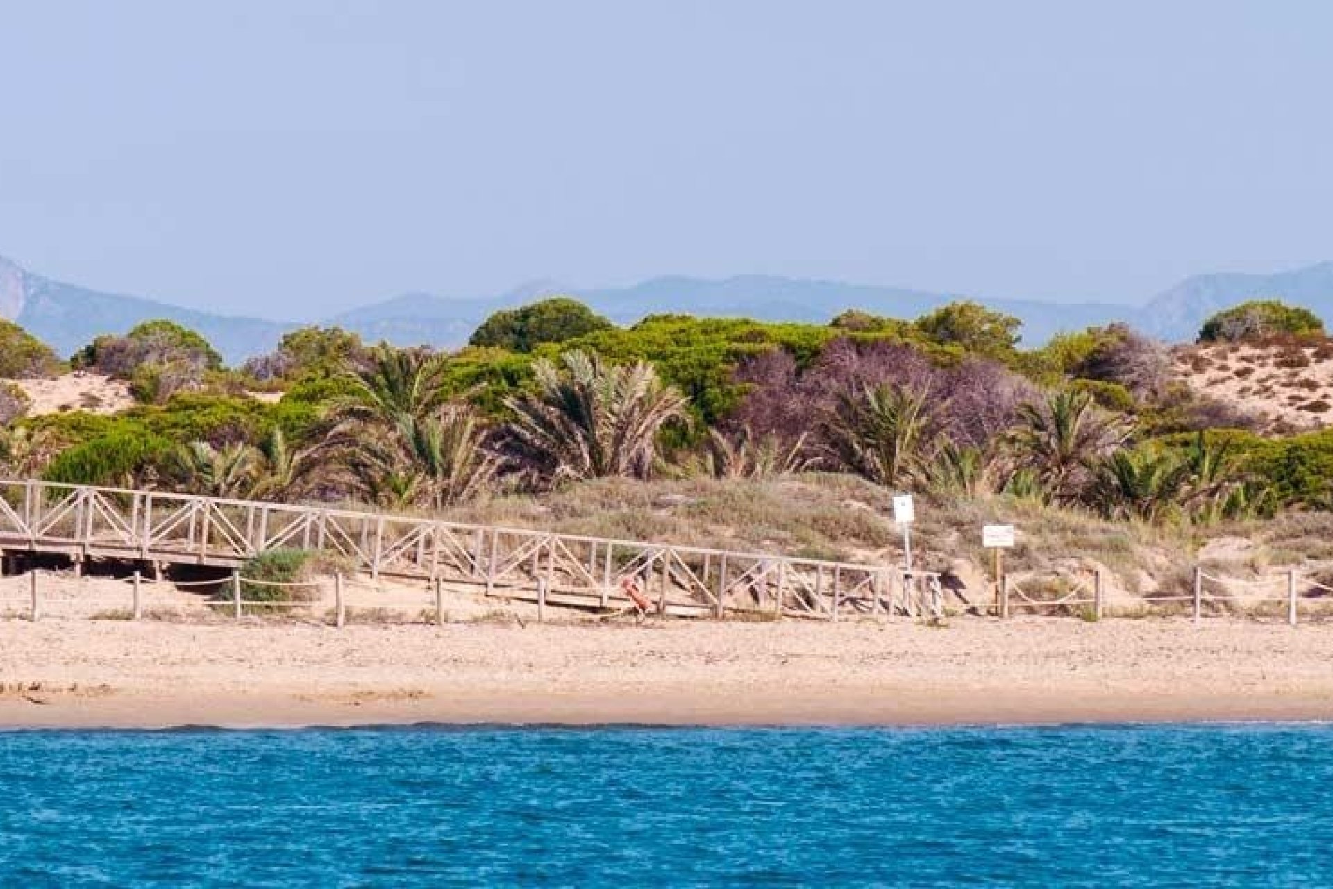 Nieuwbouw Woningen - Apartment -
Guardamar del Segura - Pueblo