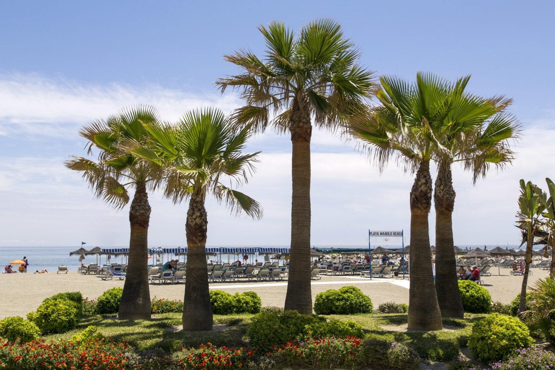 Nieuwbouw Woningen - Apartment -
Mijas - Hipódromo Costa del Sol