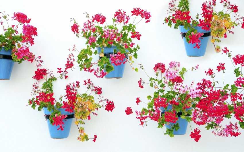 Nieuwbouw Woningen - Apartment -
Mijas - La Noria Golf