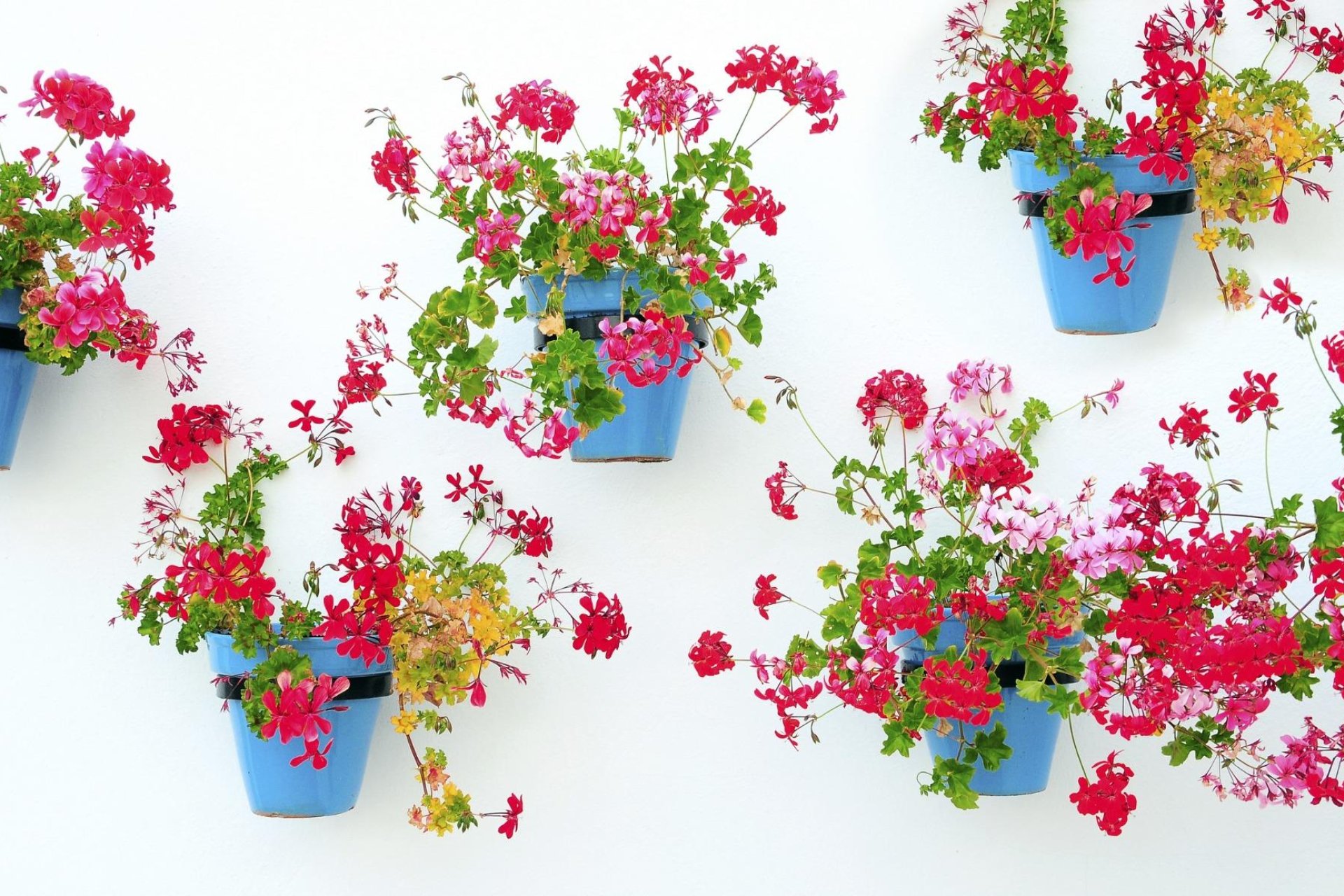 Nieuwbouw Woningen - Apartment -
Mijas - La Noria Golf