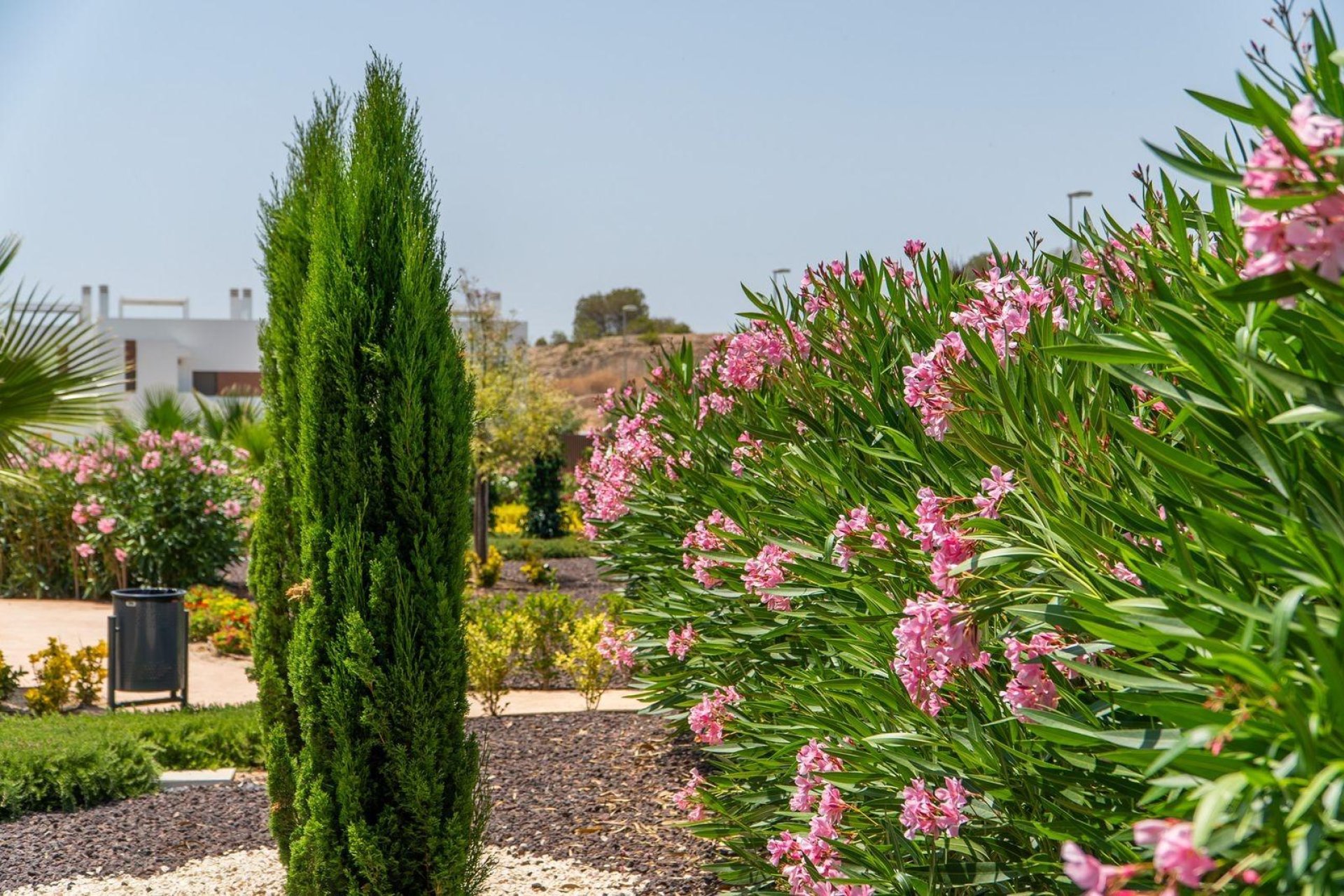 Nieuwbouw Woningen - Bungalow -
Orihuela - Vistabella Golf