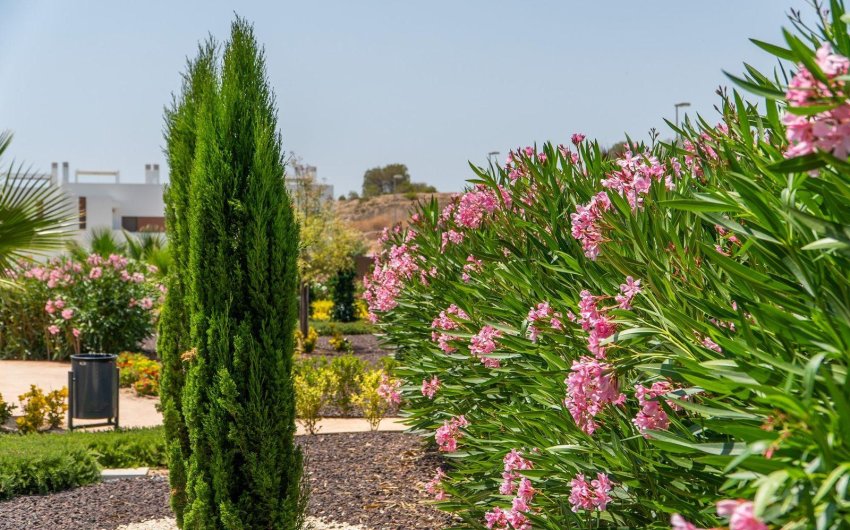 Nieuwbouw Woningen - Bungalow -
Orihuela - Vistabella Golf