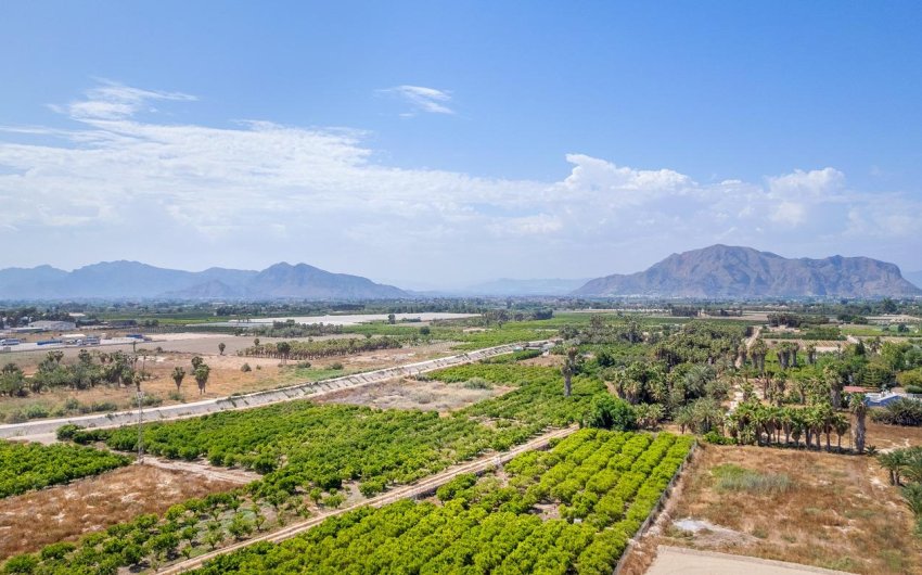 Nieuwbouw Woningen - Penthouse -
Jacarilla - pueblo