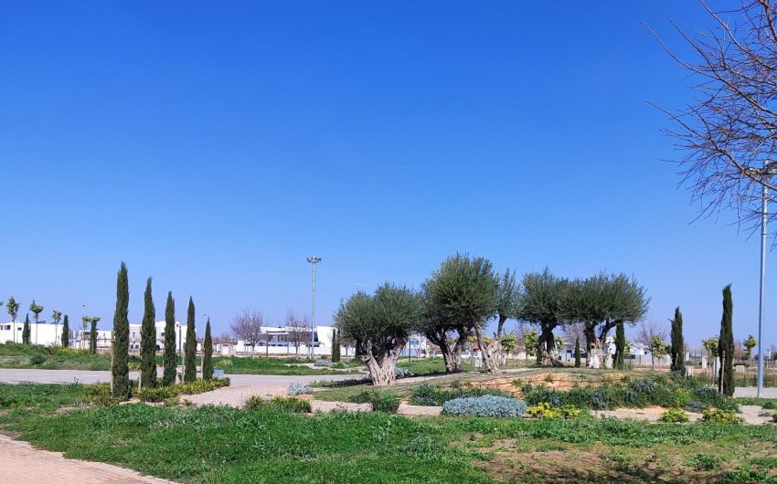 Nieuwbouw Woningen - Penthouse -
Torre Pacheco - Centro