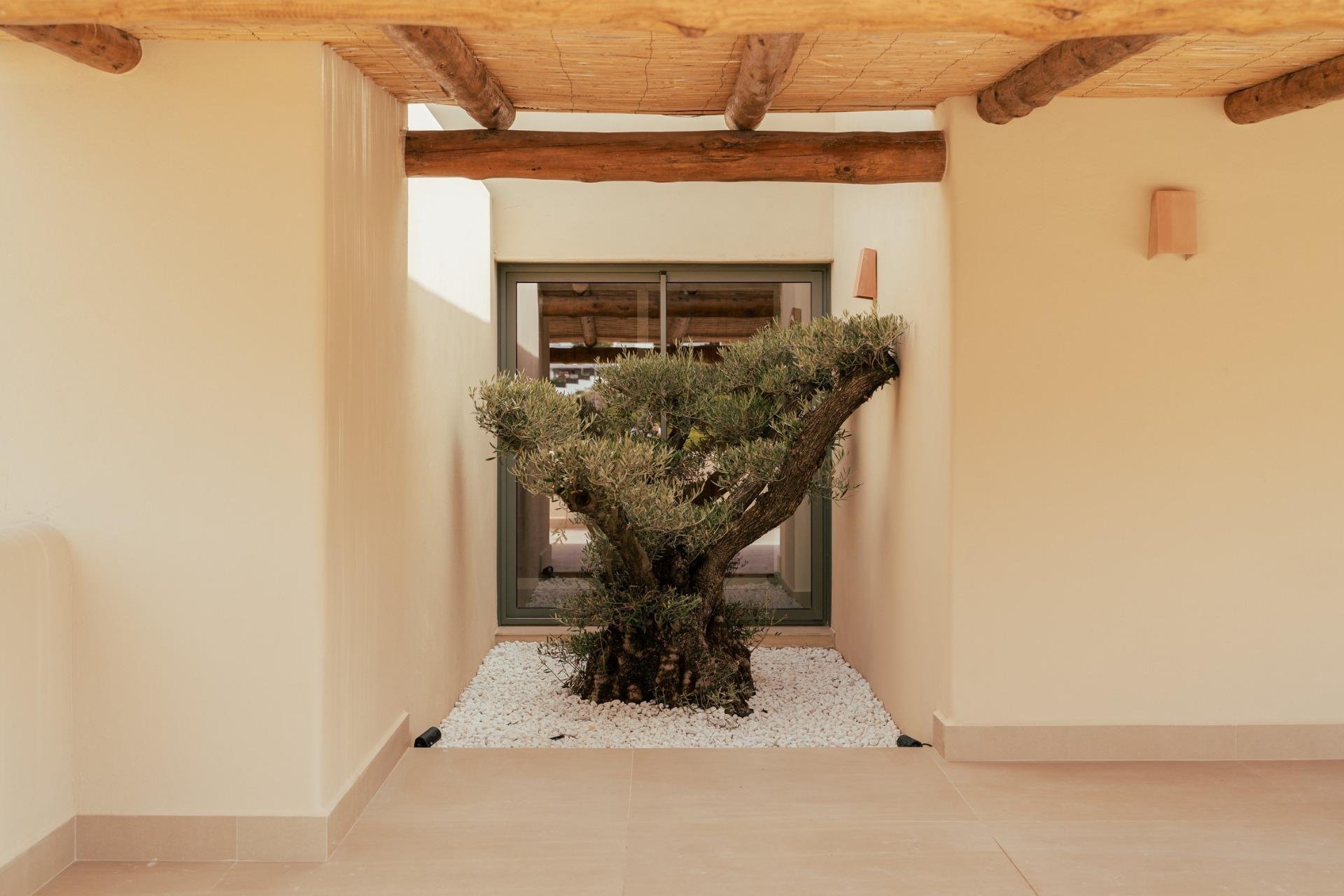 Nieuwbouw Woningen - Villa -
Jávea Xàbia - Valle del Sol