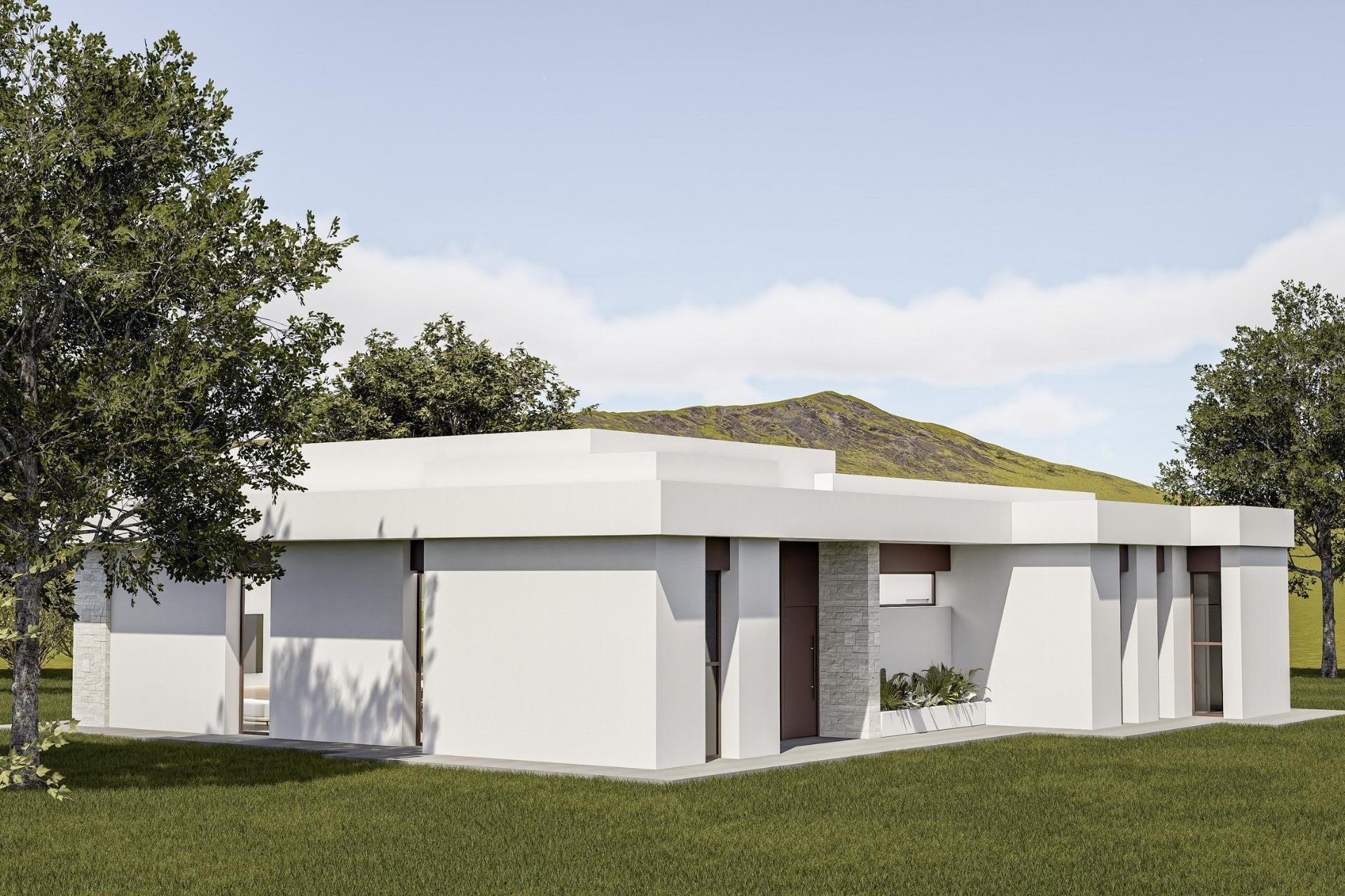 Nieuwbouw Woningen - Villa -
Pinoso - Lel