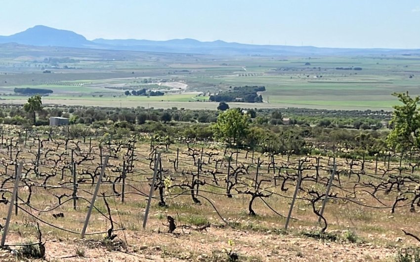 Nieuwbouw Woningen - Villa -
Yecla