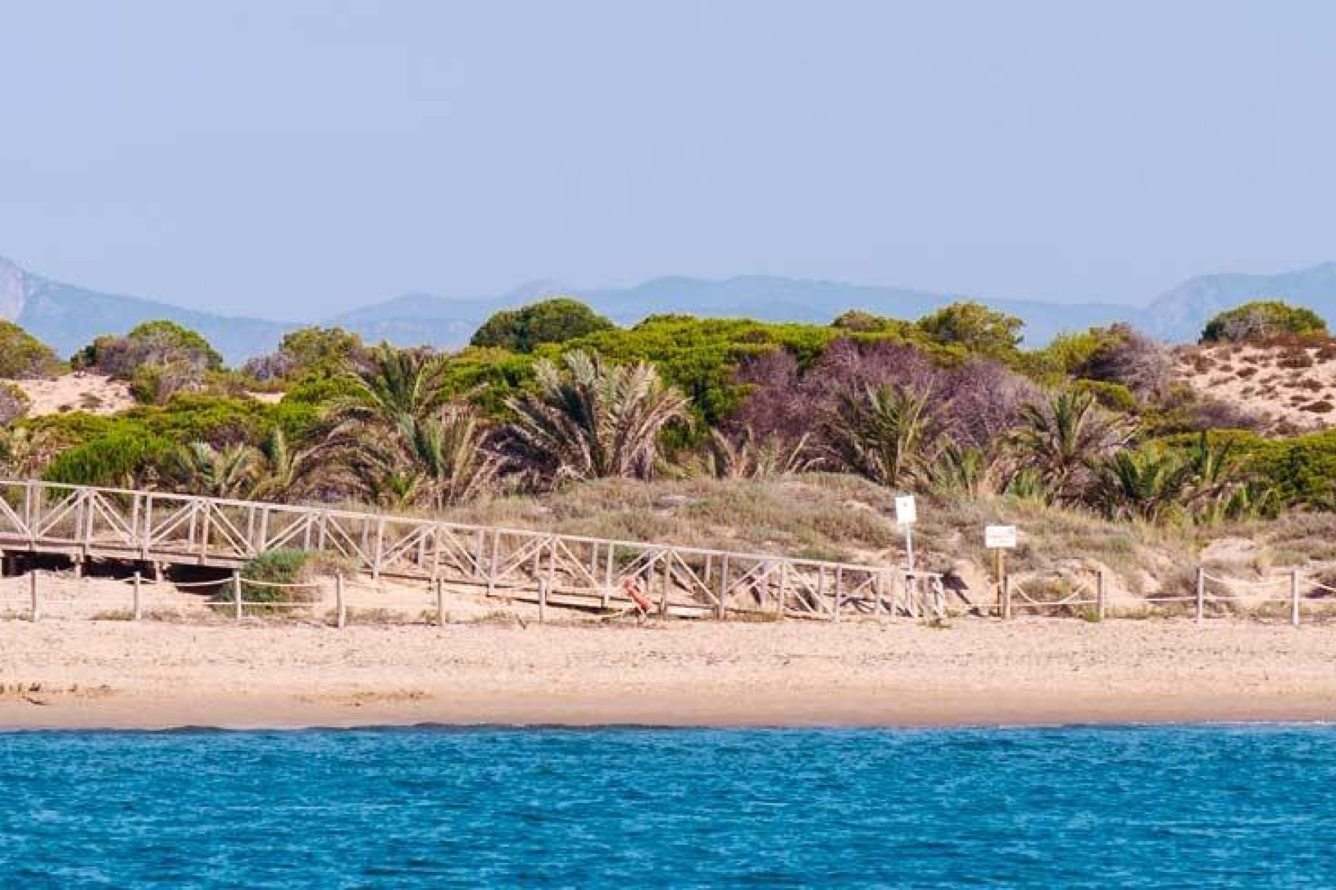 Nouvelle construction - Apartment -
Guardamar del Segura - Pueblo