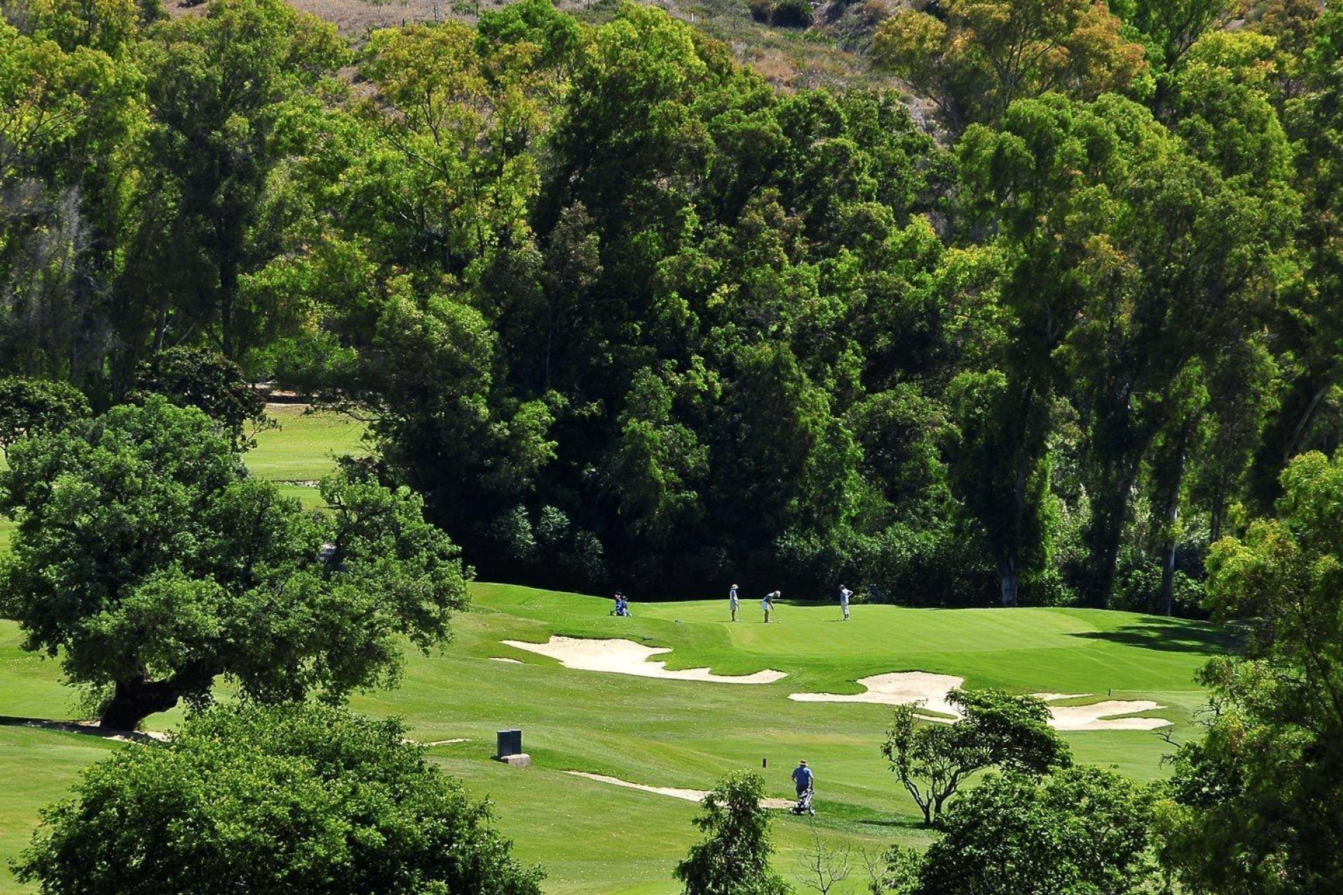 Nouvelle construction - Apartment -
Mijas - Mijas Golf