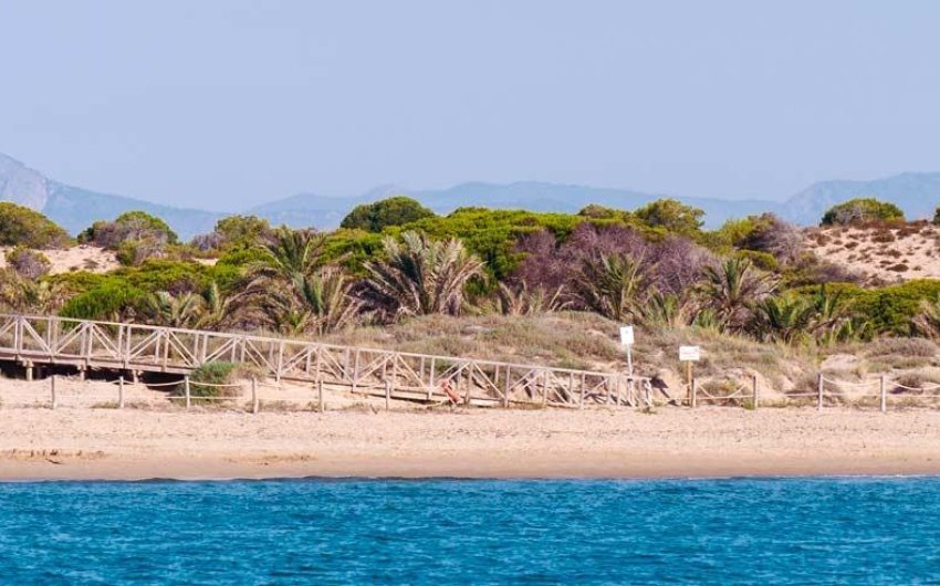 Nouvelle construction - Attique -
Guardamar del Segura - Pueblo