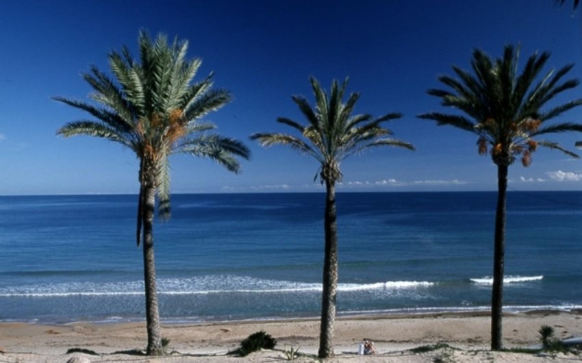 Nouvelle construction - Bungalow -
Pilar de la Horadada - Parque Ramon eugenio Escudero