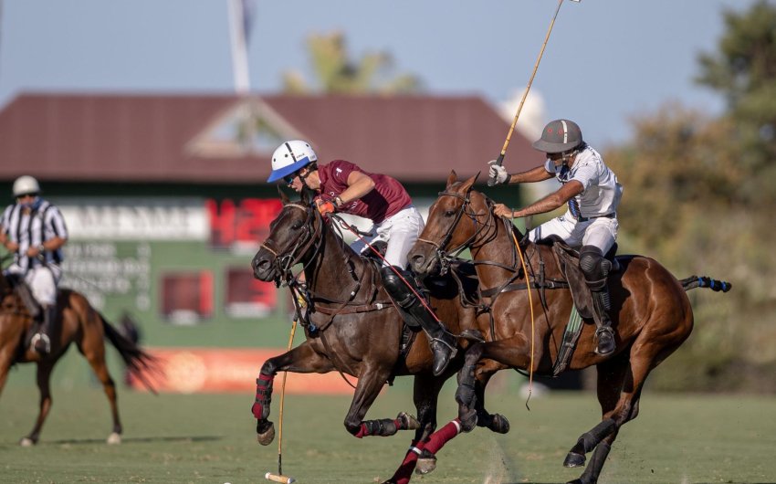 Nouvelle construction - Town House -
Sotogrande - San Roque Club