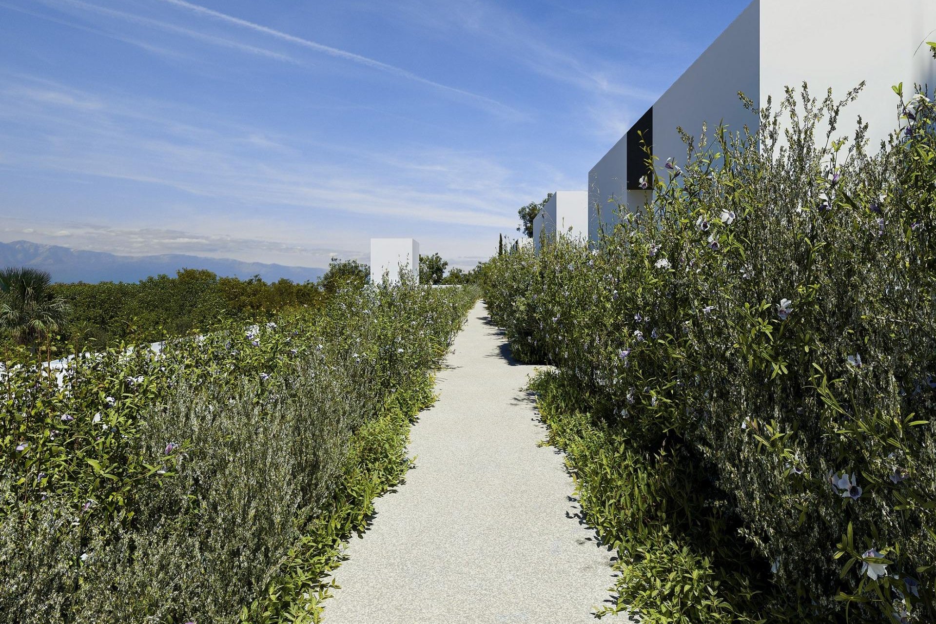 Nouvelle construction - Villa -
Alfas del Pí - Barranc Fondo