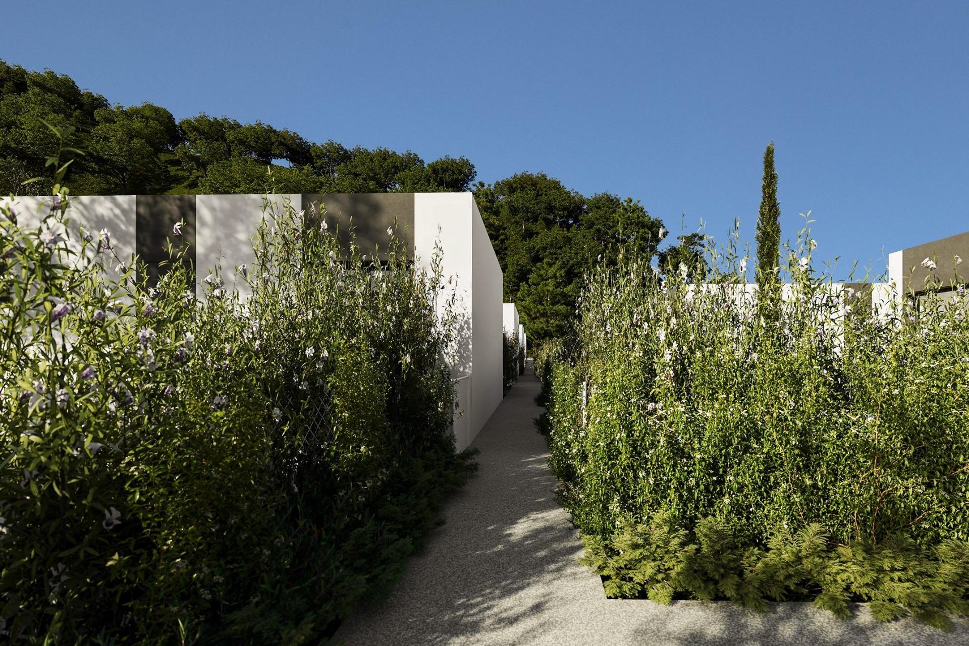 Nouvelle construction - Villa -
Alfas del Pí - Barranc Fondo