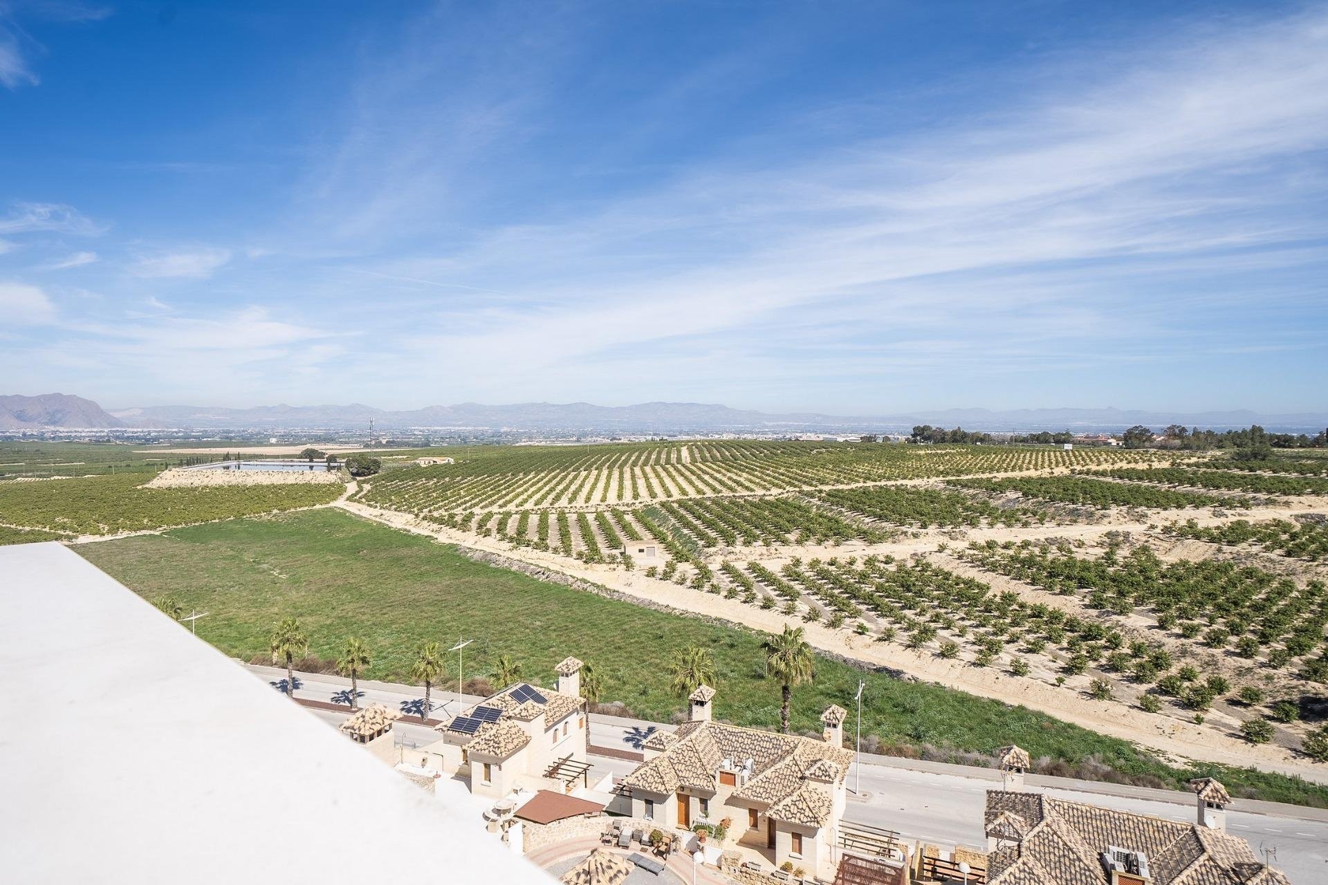 Nouvelle construction - Villa -
Algorfa - La Finca Golf