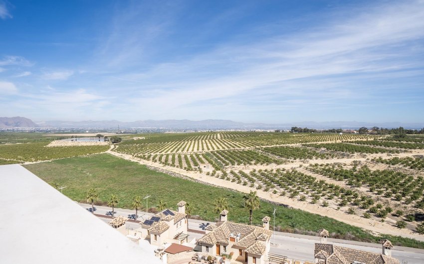 Nouvelle construction - Villa -
Algorfa - La Finca Golf