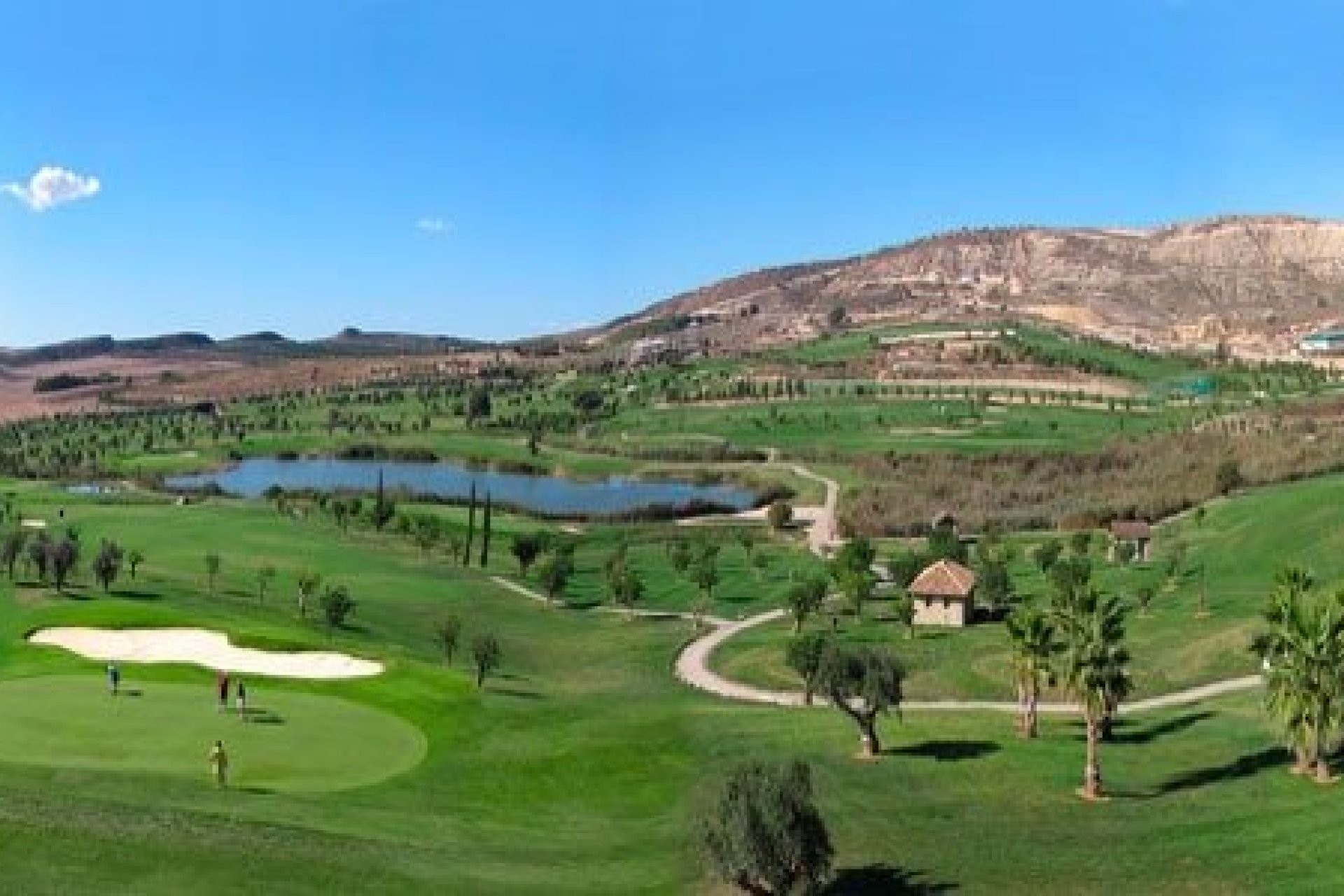 Nouvelle construction - Villa -
Algorfa - La Finca Golf