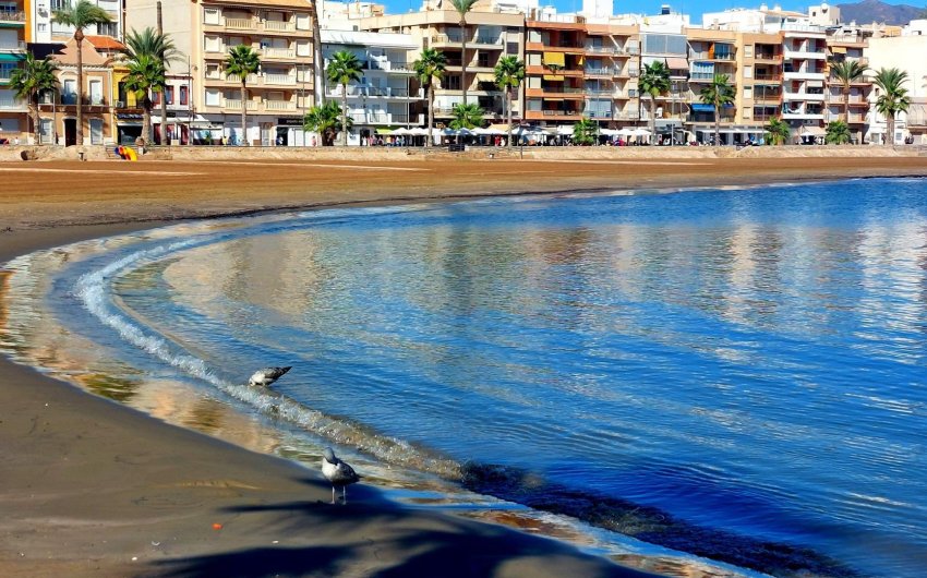 Nouvelle construction - Villa -
Fuente Álamo - La Pinilla