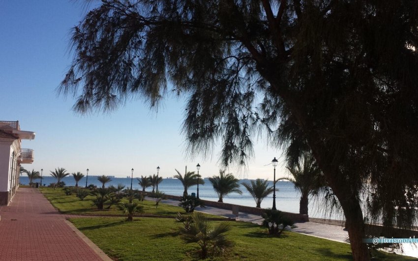 Nouvelle construction - Villa -
Los Alcazares - Serena Golf