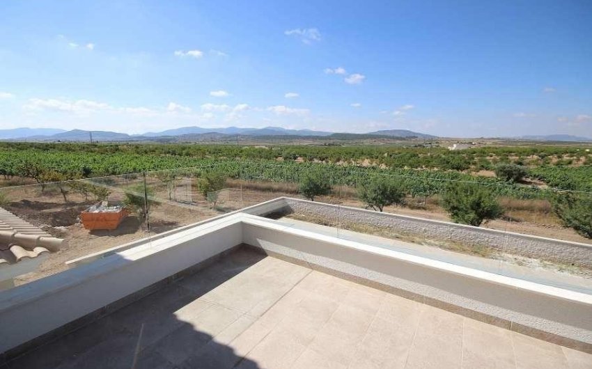 Nouvelle construction - Villa -
Pinoso - Camino Del Prado