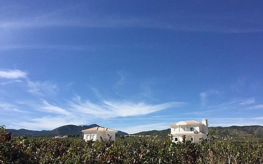 Nouvelle construction - Villa -
Pinoso - Camino Del Prado