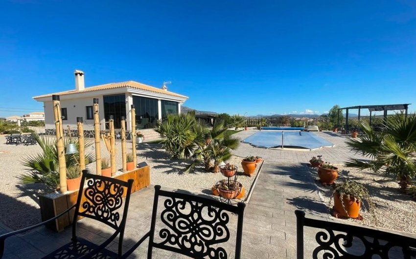 Nouvelle construction - Villa -
Pinoso - Camino Del Prado