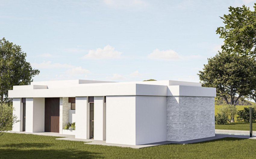 Nouvelle construction - Villa -
Pinoso - Lel