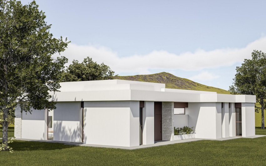 Nouvelle construction - Villa -
Pinoso - Lel