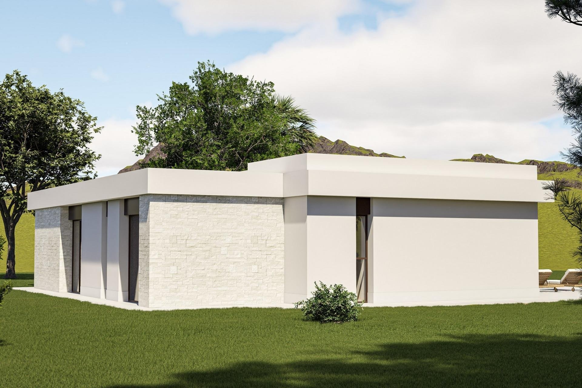 Nouvelle construction - Villa -
Pinoso - Lel