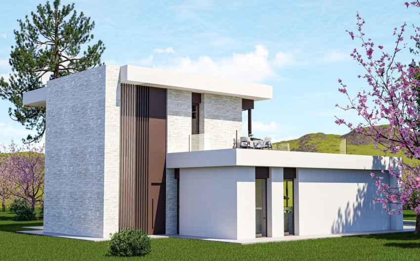 Nouvelle construction - Villa -
Pinoso - Lel