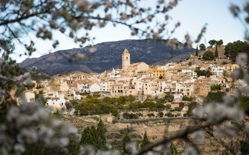 Nouvelle construction - Villa -
Polop - Polop Hills